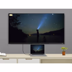 Renkforce SP-9163724 câble DisplayPort 0,5 m Noir