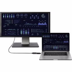 Renkforce RF-4604246 câble vidéo et adaptateur DisplayPort USB Type-C Noir
