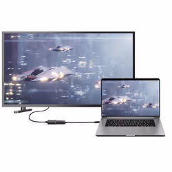 Renkforce RF-4613070 câble vidéo et adaptateur 0,14 m DisplayPort USB Type-C Noir