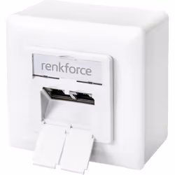 Renkforce RF-4697900 prise de courant RJ-45 Blanc