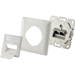 Renkforce - Prise réseau encastré insert avec plaque centrale et châssis cat 6a 2 ports blanc Y143482