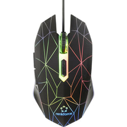 Renkforce RF-GM-120 souris Droitier USB Type-A Optique 3600 DPI