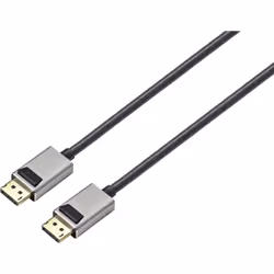 SpeaKa Professional SP-9510456 câble DisplayPort 2 m Noir