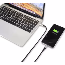 Renkforce RF-4995188 câble Lightning 2 m Noir
