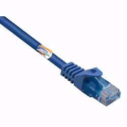 Renkforce RF-5042666, 5 m, Cat5e, U/UTP (UTP), RJ-45, RJ-45