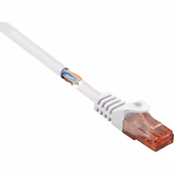 Renkforce RF-5043884, 2 m, Cat6, U/UTP (UTP), RJ-45, RJ-45
