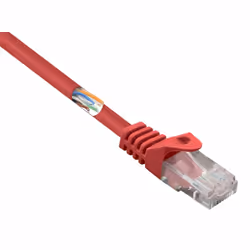 Renkforce RF-5044012, 3 m, Cat5e, U/UTP (UTP), RJ-45, RJ-45