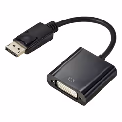 Renkforce RF-5771774, DisplayPort, DVI 24+5 pin, 0,15 m, Noir