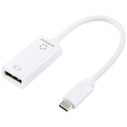 Renkforce RF-6056894 changeur de genre de câble USB-C DisplayPort Blanc
