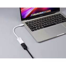 Renkforce RF-6056894 changeur de genre de câble USB-C DisplayPort Blanc