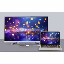 Renkforce RF-6056894 changeur de genre de câble USB-C DisplayPort Blanc