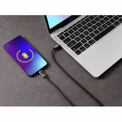 Renkforce RF-6249292 câble USB USB 2.0 0,5 m USB C Noir, Métallique