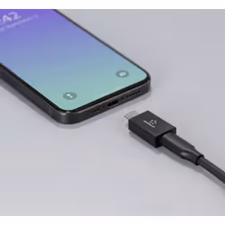 Renkforce RF-6615900 changeur de genre de câble USB-C Noir