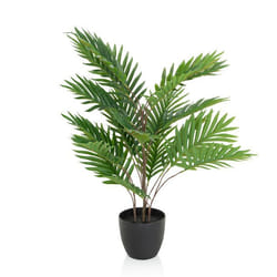 Plante artificielle - hjh OFFICE - ARECA - Vert - Plastique Tissu