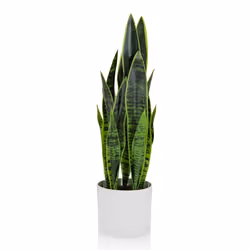 Plante artificielle - hjh OFFICE - SANSEVIERIA - Vert - Plastique Tissu