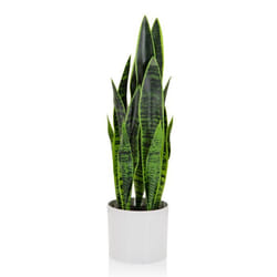 Plante artificielle - hjh OFFICE - SANSEVIERIA - Vert - Plastique Tissu