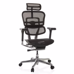 Siège de direction de luxe - hjh OFFICE - ERGOHUMAN GEN2 - Noir - tissu maille