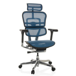 Siège de direction de luxe - hjh OFFICE - ERGOHUMAN GEN2 - Bleu - tissu maille