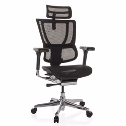 Siège de direction de luxe  - hjh OFFICE - ERGOHUMAN SLIM GEN2 - Noir - tissu maille