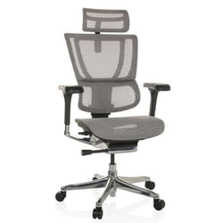Siège de direction de luxe  - hjh OFFICE - ERGOHUMAN SLIM GEN2 - Gris Clair - tissu maille