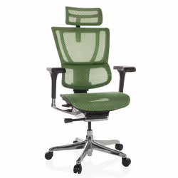 Siège de direction de luxe  - hjh OFFICE - ERGOHUMAN SLIM GEN2 - Vert - tissu maille
