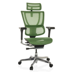 Siège de direction de luxe  - hjh OFFICE - ERGOHUMAN SLIM GEN2 - Vert - tissu maille