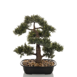 Plante artificielle - hjh OFFICE - BONSAI - Vert - Plastique