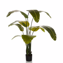 Plante artificielle - hjh OFFICE - BANANE - Vert - Plastique