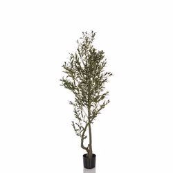 Plante artificielle - hjh OFFICE - OLIVE I - Vert - Plastique