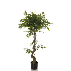 Plante artificielle - hjh OFFICE - FICUS I - Vert - Plastique Tissu