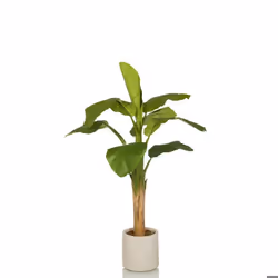 Plante artificielle - hjh OFFICE - BANANE I - Vert - Plastique