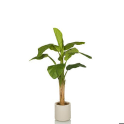 Plante artificielle - hjh OFFICE - BANANE I - Vert - Plastique