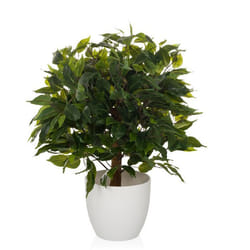 Plante artificielle - hjh OFFICE - FICUS II - Vert - Plastique