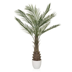 Plante artificielle - hjh OFFICE - DRACAENA - Vert - Plastique