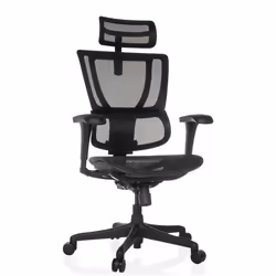 Siège de direction de luxe  - hjh OFFICE - ERGOHUMAN SLIM ECO M GEN2 - Noir - tissu maille