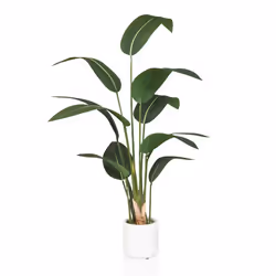 Plante artificielle - hjh OFFICE - STRELITZIA - Vert - Plastique