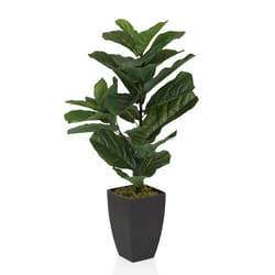 Plante artificielle - hjh OFFICE - LYRATA - Vert - Plastique