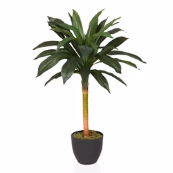 Plante artificielle - hjh OFFICE - DRACAENA I - Vert - Plastique