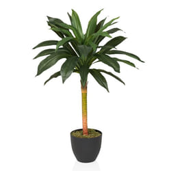 Plante artificielle - hjh OFFICE - DRACAENA I - Vert - Plastique