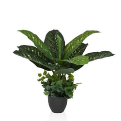 Plante artificielle - hjh OFFICE - DIEFFENBACHIA - Vert - Plastique