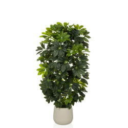 Plante artificielle - hjh OFFICE - Schefflera 2 - Vert - Plastique fer