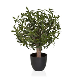 Plante artificielle - hjh OFFICE - Olive S - Vert - Plastique
