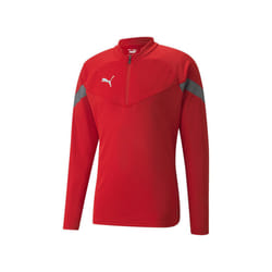 Pull Puma Teamfinal