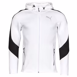 Sweatshirt à capuche Puma Evostripe