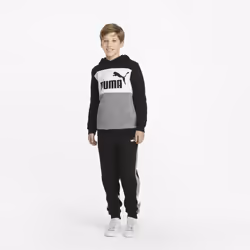 Puma Hoodie Essentials+ Noir Unisexe