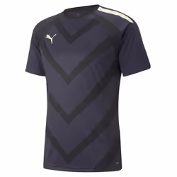 PUMA Teamliga Graphic Jersey Maillot de Football Homme- Veilleuse Parisienne ptillante- M