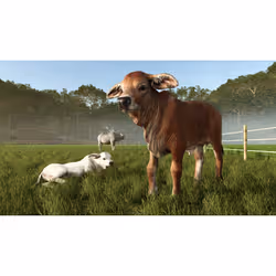 Giants Software Farming Simulator 25: Beans & Alpacas Jeu PlayStation 5 - Vue supplémentaire 8