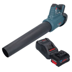 Souffleur de Feuilles Sans Fil - Bosch - GBL 18V-750 - BITURBO Brushless - Batterie ProCORE 80 Ah