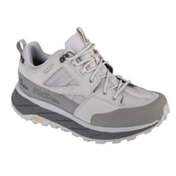 Chaussures de randonnée Homme Gris Jack Wolfskin Terraquest Texapore Low M