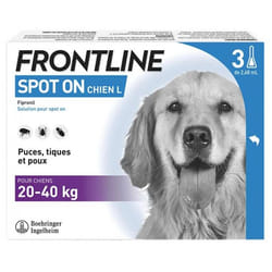 Frontline Spot-On Chien L (20-40 kg) 3 Pipettes